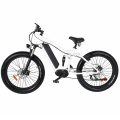 26*4.0 Inch 500W Beach Snow Mountain Fat Tire Electric Bike with Ce